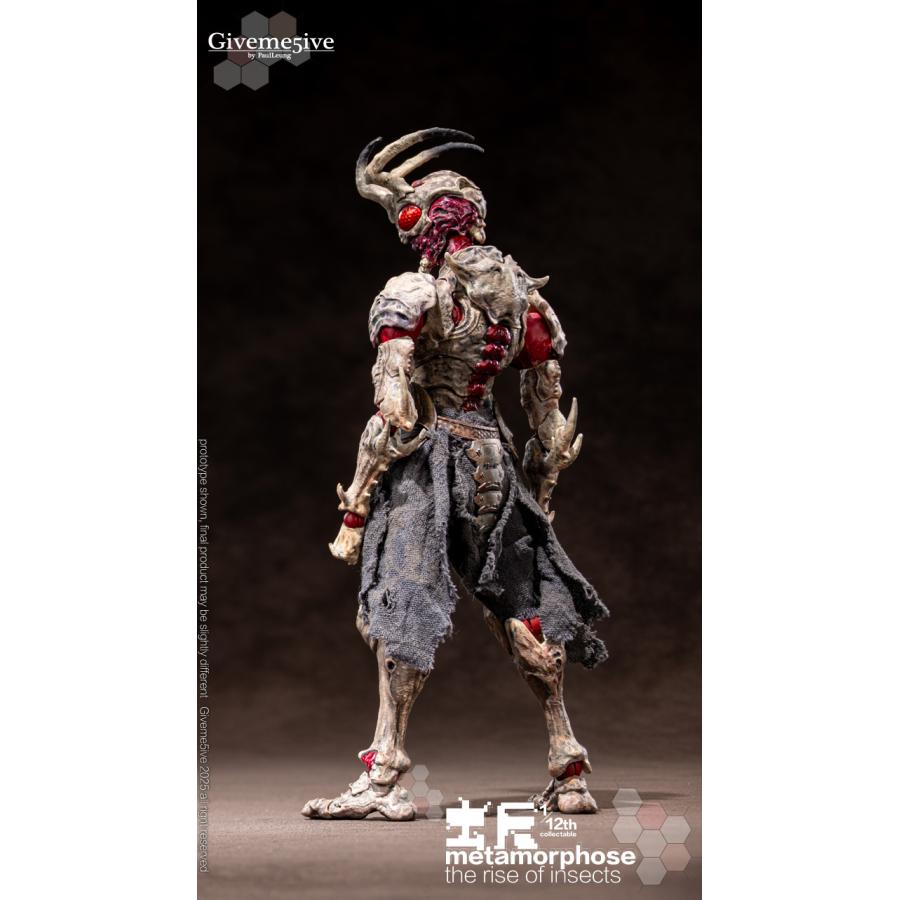 Giveme5ive 虫啓(METAMORPHOSE - THE RISE OF INSECTS)シリーズ Airoki