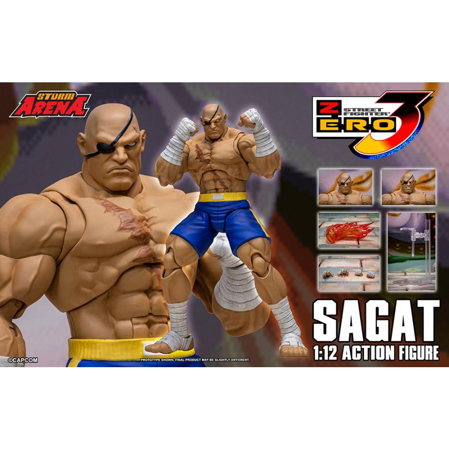 [G5164]未開封　ストリートファイター　アクションフィギュア　サガット Storm Collectibles 1/12 サガット ストリートファイター