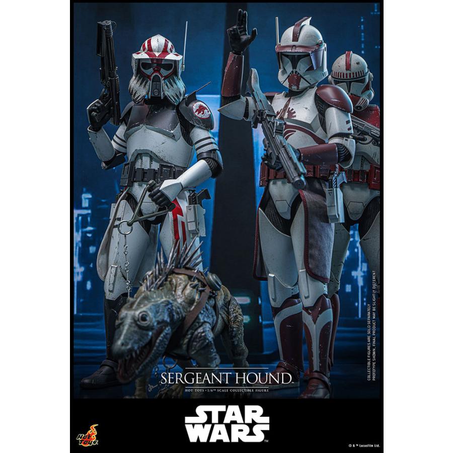 サイドショウ クローン・サージェント（エピソード２）1/6スケールフィギュア テレビ・マスターピース】『スター・ウォーズ／クローン