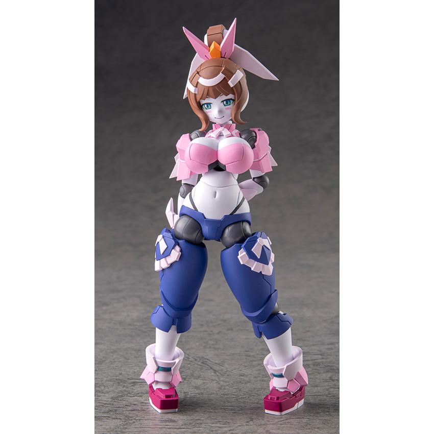 ポリニアン 蘭子 アクションフィギュア ダイバディプロダクション 【6
