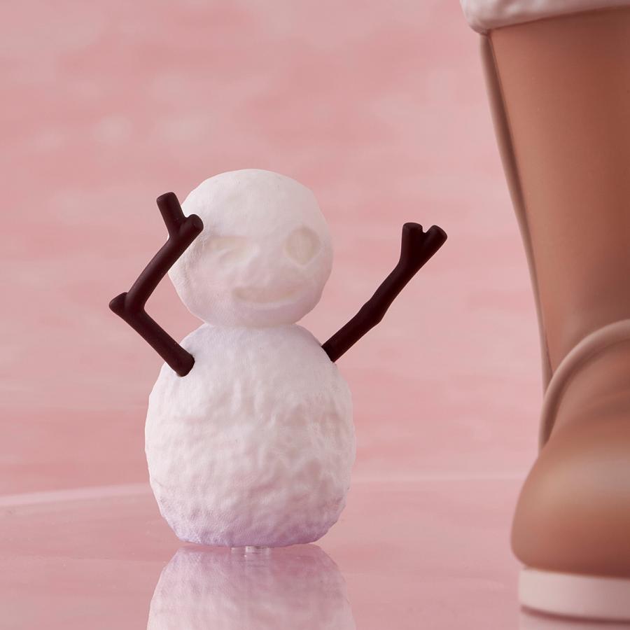 ユニオンクリエイティブ 送料無料◇道産子ギャルはなまらめんこい 冬木