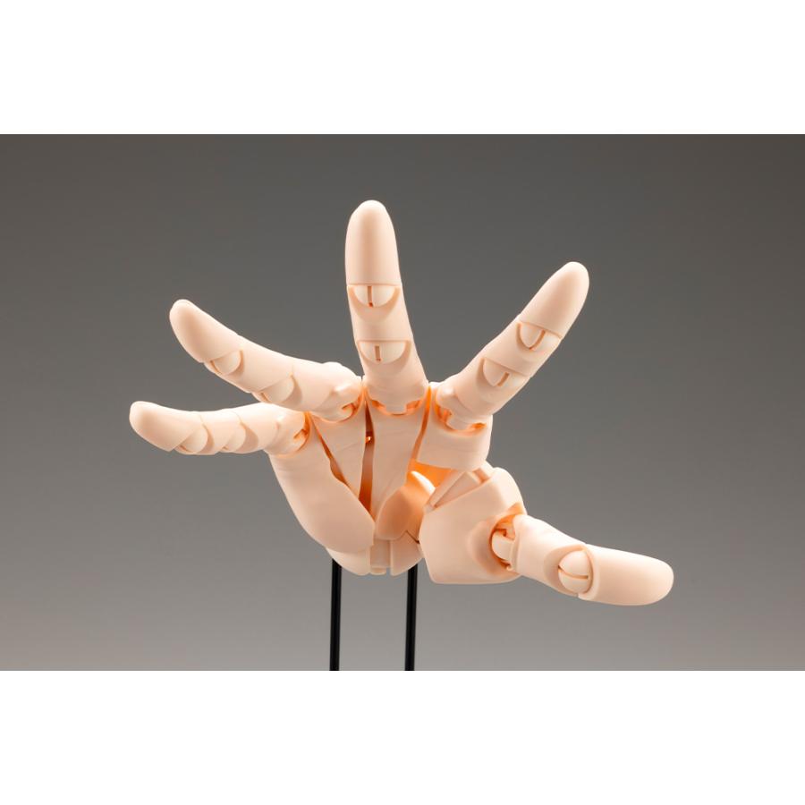 コトブキヤ（KOTOBUKIYA） 送料無料◇再販 ARTIST SUPPORT ITEM 1/1