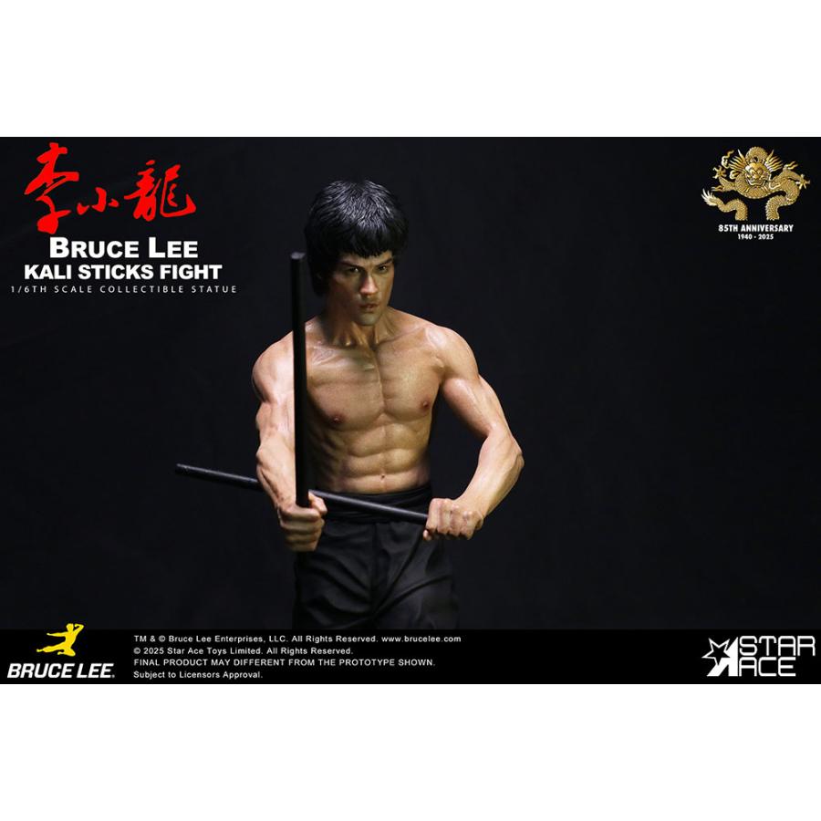 送料無料◇(代引不可)1/6 ブルース・リー カリスティック ファイト