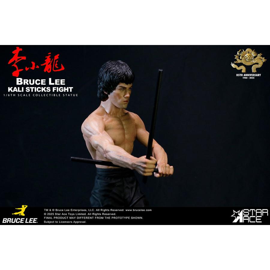 送料無料◇(代引不可)1/6 ブルース・リー カリスティック ファイト
