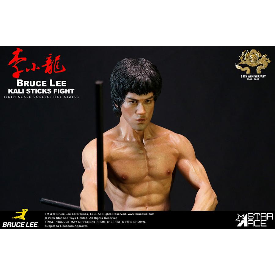 送料無料◇(代引不可)1/6 ブルース・リー カリスティック ファイト
