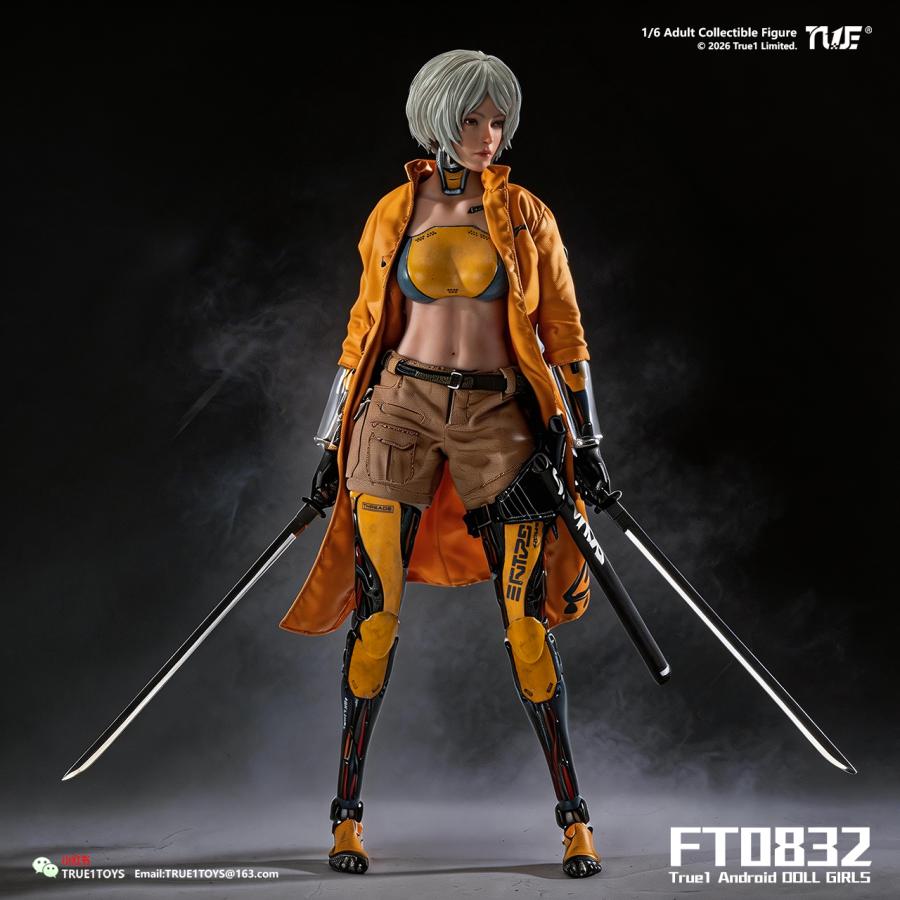 送料無料◆(代引不可)トゥルーワントイズ 1/6スケール アクションフィギュア アンドロイド・ビル ホワイトヘア FT0832W 【9月予約】_2