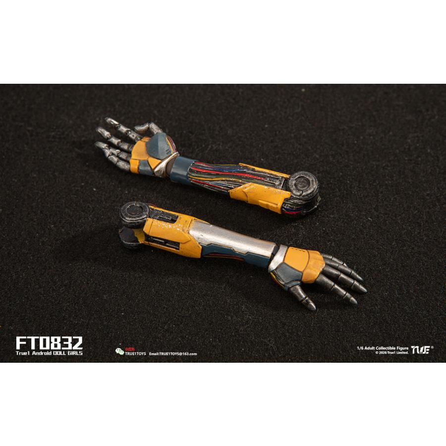 送料無料◆(代引不可)トゥルーワントイズ 1/6スケール アクションフィギュア アンドロイド・ビル ホワイトヘア FT0832W 【9月予約】_3