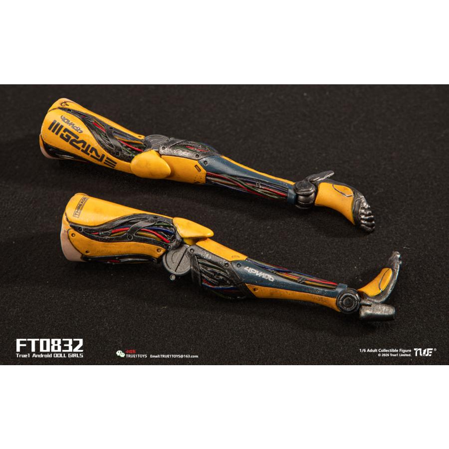 送料無料◆(代引不可)トゥルーワントイズ 1/6スケール アクションフィギュア アンドロイド・ビル ホワイトヘア FT0832W 【9月予約】_4