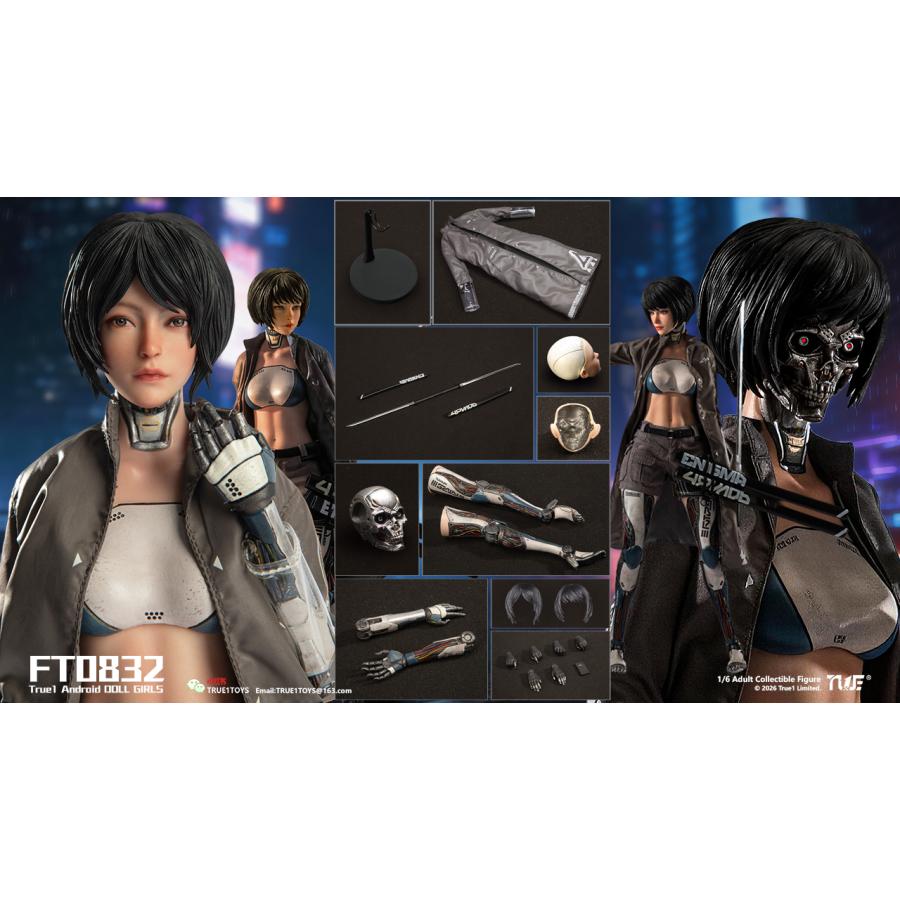 送料無料◆(代引不可)トゥルーワントイズ 1/6スケール アクションフィギュア アンドロイド・ビル ブラックヘア FT0832B 【9月予約】_2