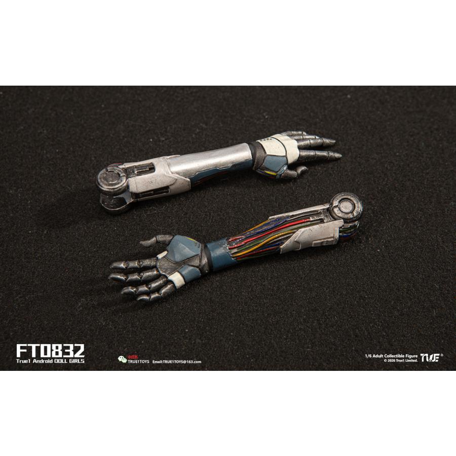 送料無料◆(代引不可)トゥルーワントイズ 1/6スケール アクションフィギュア アンドロイド・ビル ブラックヘア FT0832B 【9月予約】_3