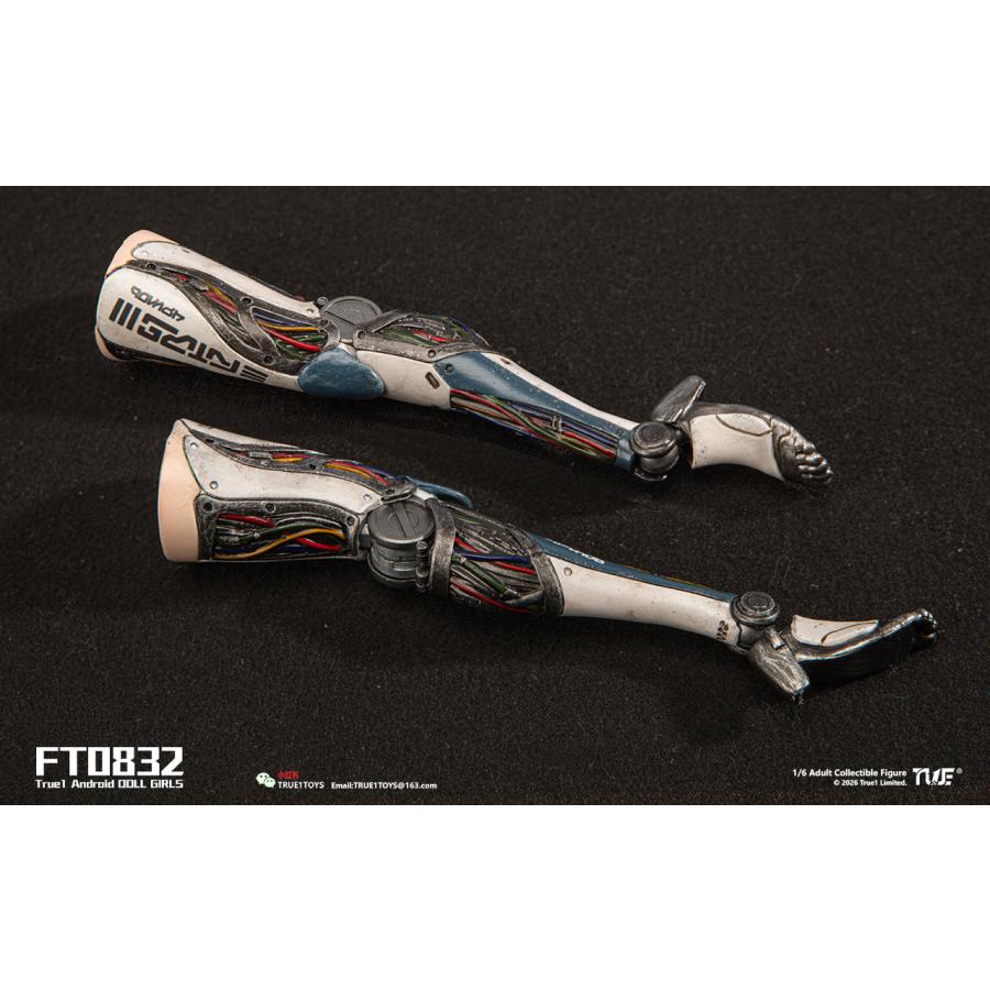 送料無料◆(代引不可)トゥルーワントイズ 1/6スケール アクションフィギュア アンドロイド・ビル ブラックヘア FT0832B 【9月予約】_4