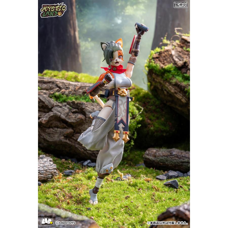 LADo TOYS ERA-006 Tonia(トニア) 忍者Ver. 1/12スケール可動