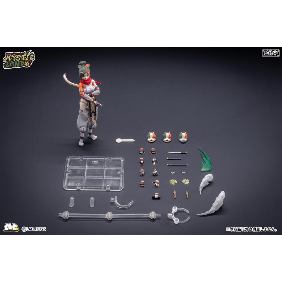 LADo TOYS ERA-006 Tonia(トニア) 忍者Ver. 1/12スケール可動
