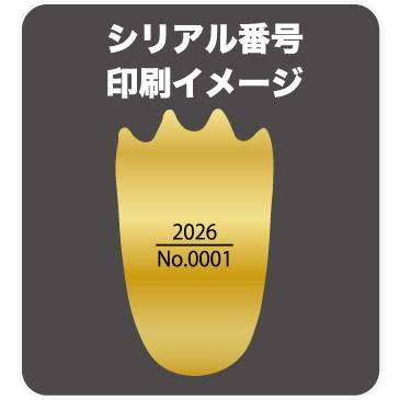 フジミ チビマルゴジラシリーズ No.10 EX-1 メカキングギドラ 豪華