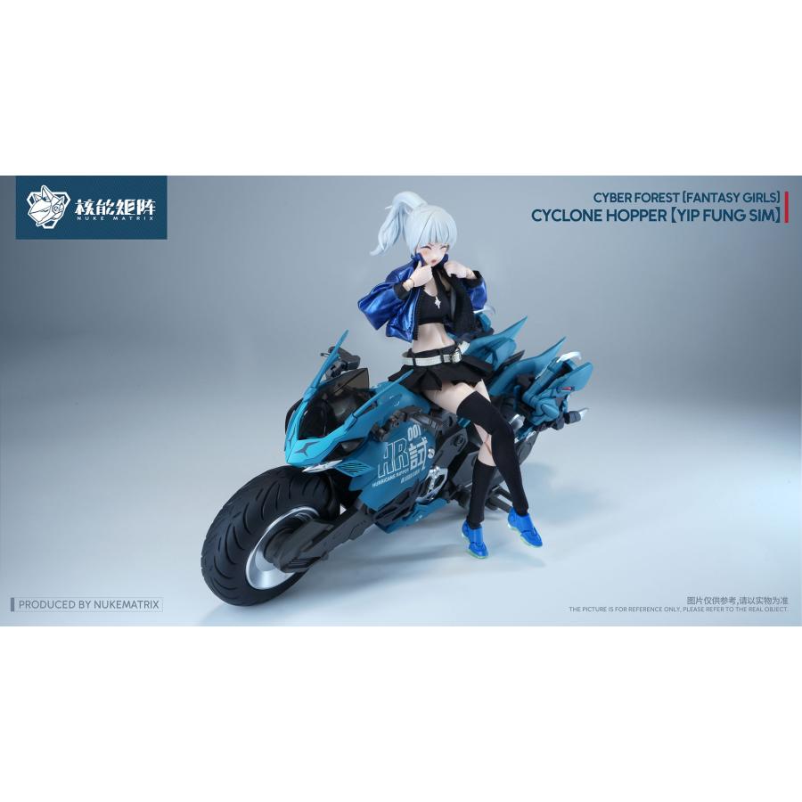 ❗️新品未開封❗️ RAY FIELD レイフィールド　奇跡の龍魂核　T95 ❗️新品未開封❗️ RAY FIELD レイフィールド 奇跡の龍魂核 T95