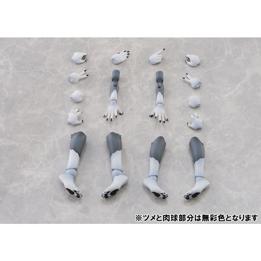 送料無料◆アオシマ けもプラ 3種セット ハイイロオオカミ ＋ アーム＆レッグパーツ01(ハイイロオオカミカラー) ＋ ヒトパーツ(カラーB)  【6月予約】の画像