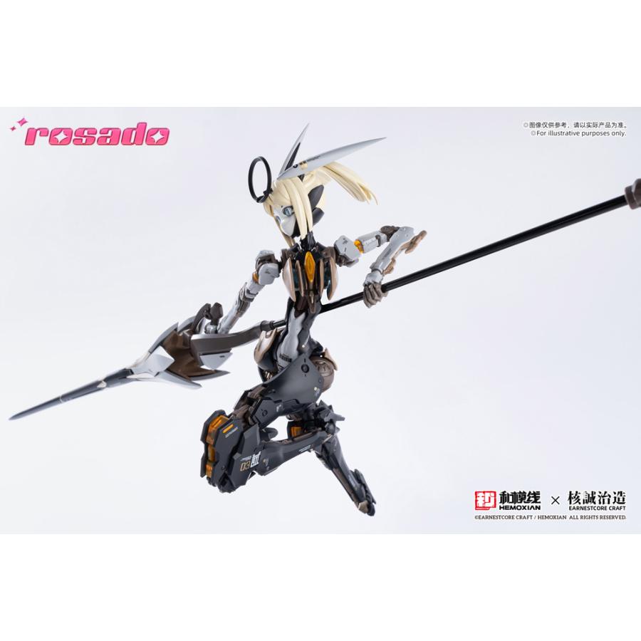 送料無料◇再販 rosado Project 1/10 RS-03 星花・リリィ MK3 一部塗装