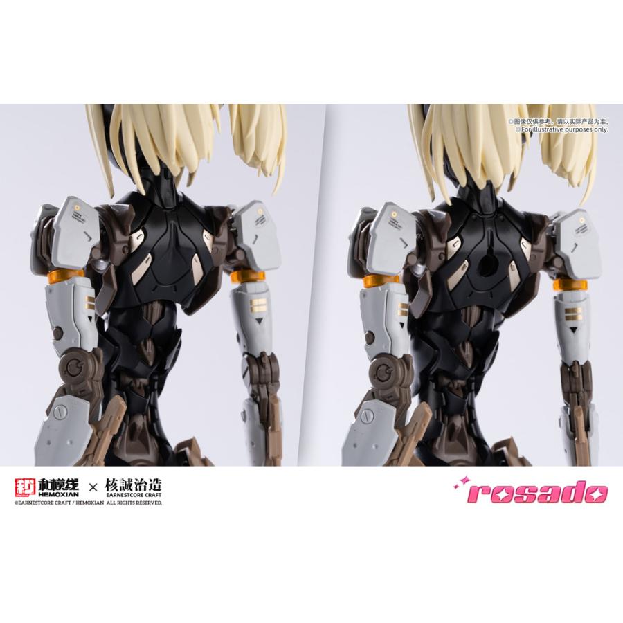 送料無料◇再販 rosado Project 1/10 RS-03 星花・リリィ MK3 一部塗装