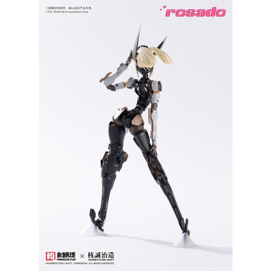 送料無料◇再販 rosado Project 1/10 RS-03 星花・リリィ MK3 一部塗装