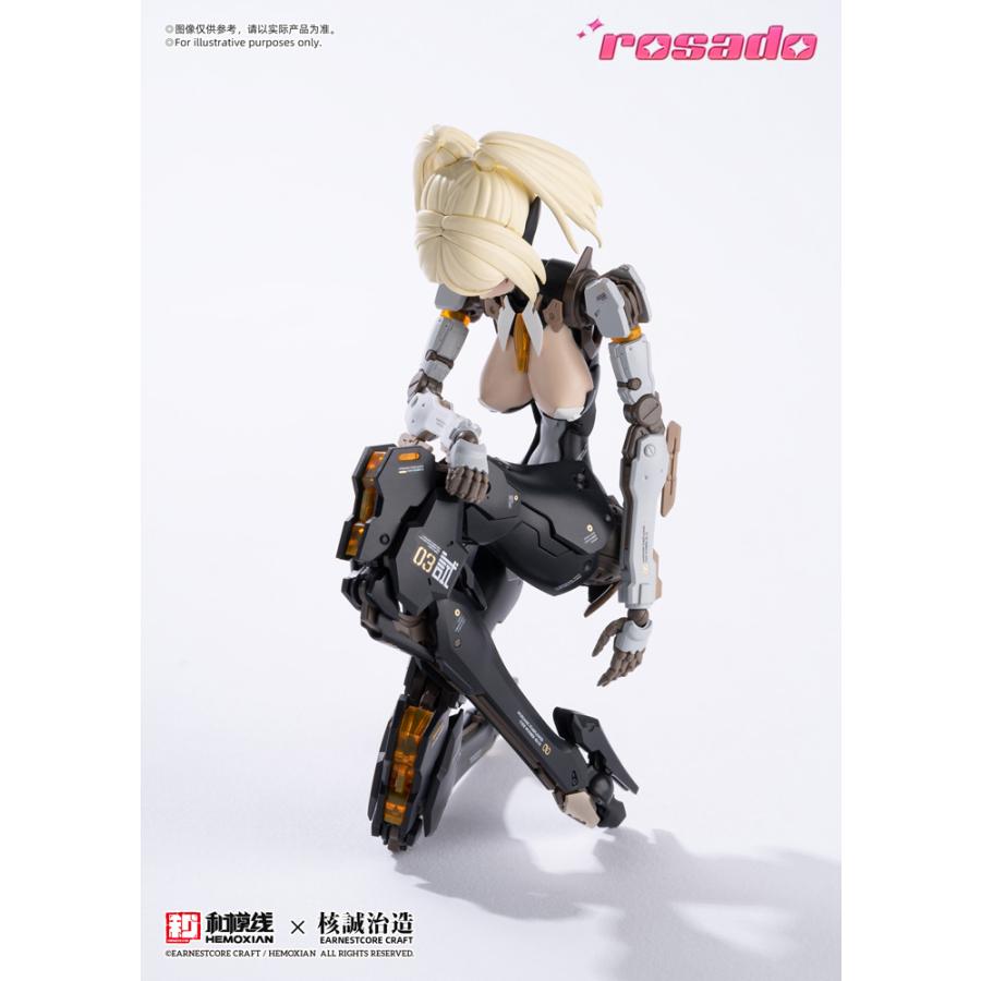 送料無料◇再販 rosado Project 1/10 RS-03 星花・リリィ MK3 一部塗装