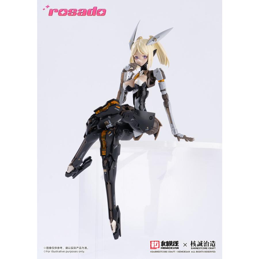 送料無料◇再販 rosado Project 1/10 RS-03 星花・リリィ MK3 一部塗装