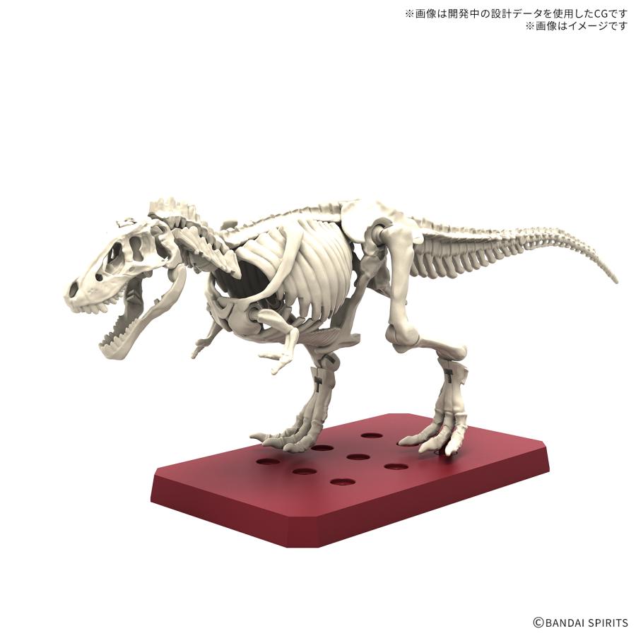 BANDAI（バンダイ） プラノサウルス 04 ティラノサウルス 熱帯雨林 Ver