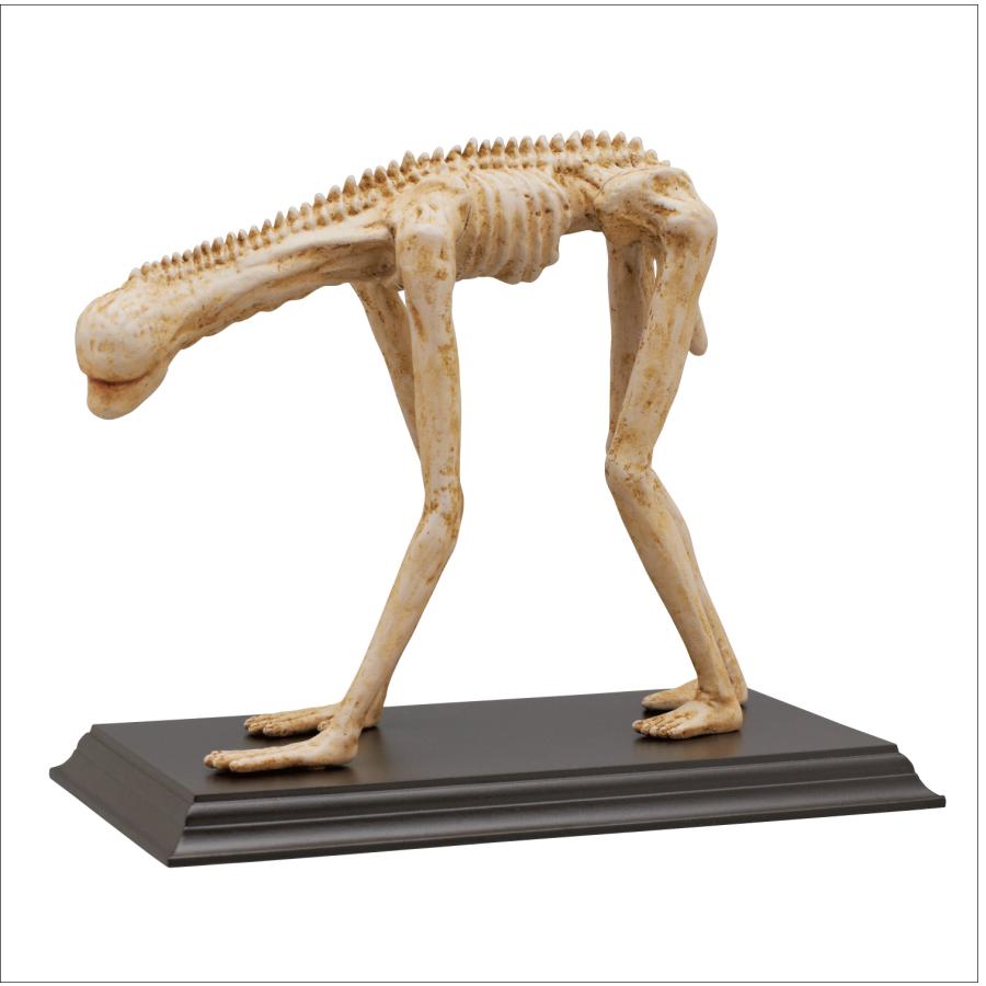 Ｗワイマール/ドイツ軍＊ドイツ義勇軍＊フォン　ディービッチ銀メダル/勲章(実物） Wワイマール/ドイツ軍＊ドイツ義勇軍＊フォン ディービッチ