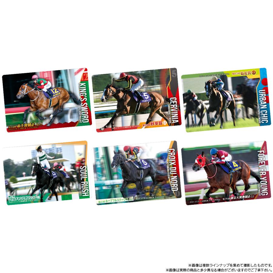 BANDAI（バンダイ） サラブレッドホースコレクション ツインウエハース