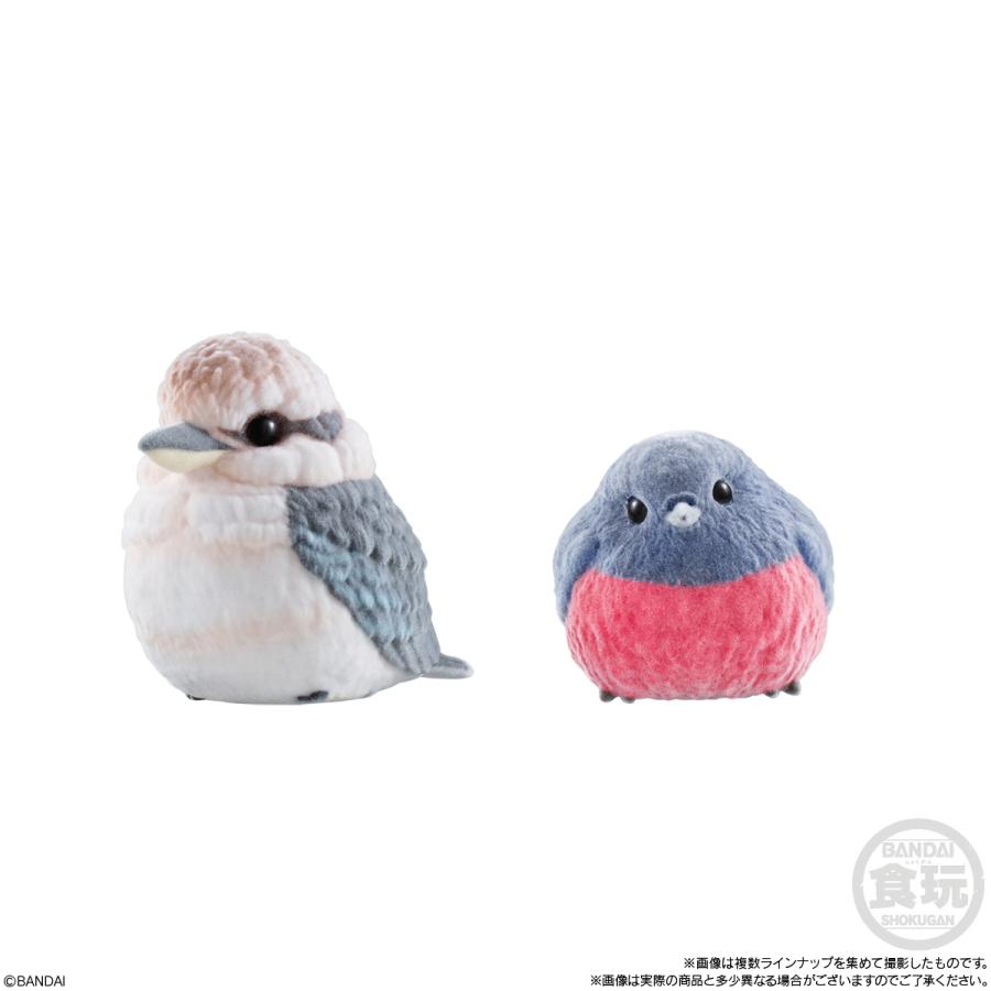 BANDAI（バンダイ） もふもふ てのりフレンズ3 食玩 (1BOX) 【5月予約