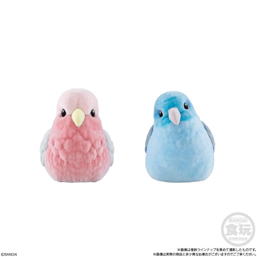 BANDAI（バンダイ） もふもふ てのりフレンズ3 食玩 (1BOX) 【5月予約