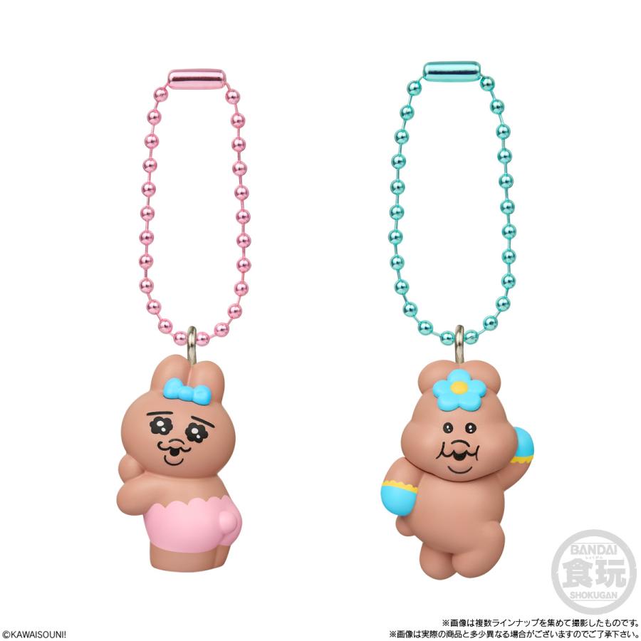 おぱんちゅうさぎ×んぽちゃむ チョコがけビスケット マスコットつき 食