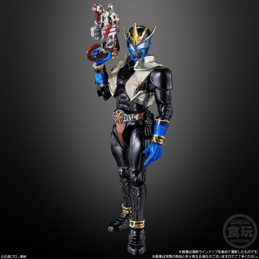 BANDAI（バンダイ） 送料無料◇SO-DO CHRONICLE 仮面ライダーアギト