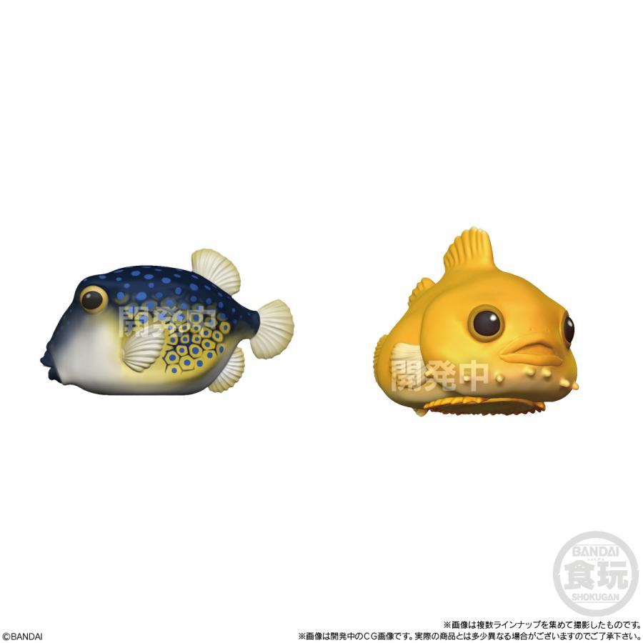 BANDAI（バンダイ） うるツヤてのりフレンズ (1BOX) 食玩 【7月予約