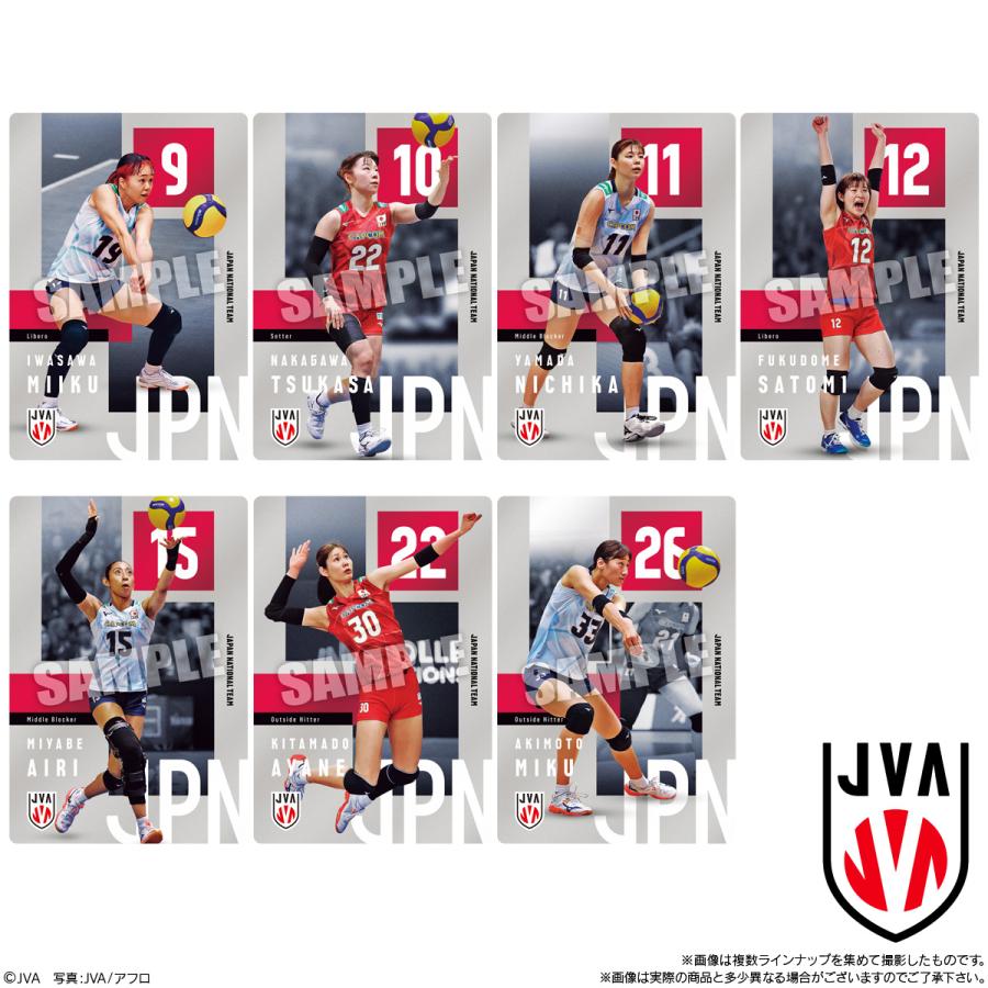 BANDAI（バンダイ） JAPAN NATIONAL VOLLEYBALL TEAM -男子日本代表ver