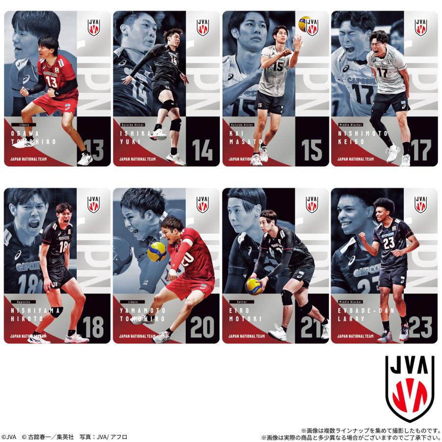 BANDAI（バンダイ） JAPAN NATIONAL VOLLEYBALL TEAM -男子日本代表ver