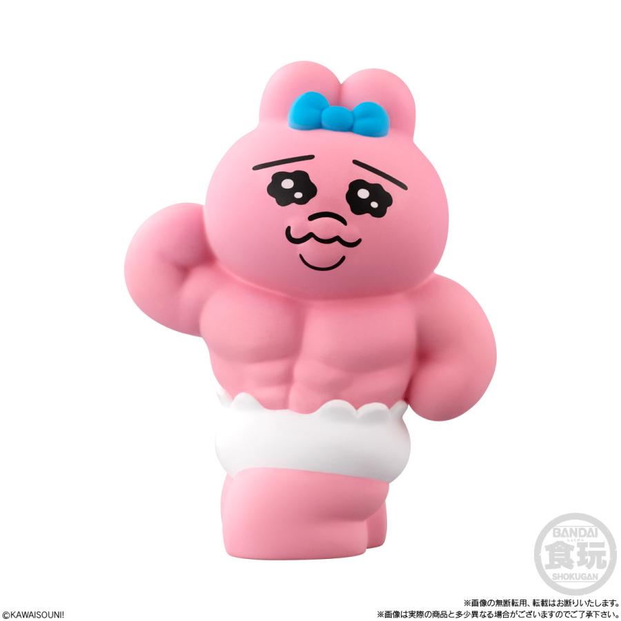 BANDAI（バンダイ） おぱんちゅうさぎフレンズ3 食玩 (1BOX) 【10月