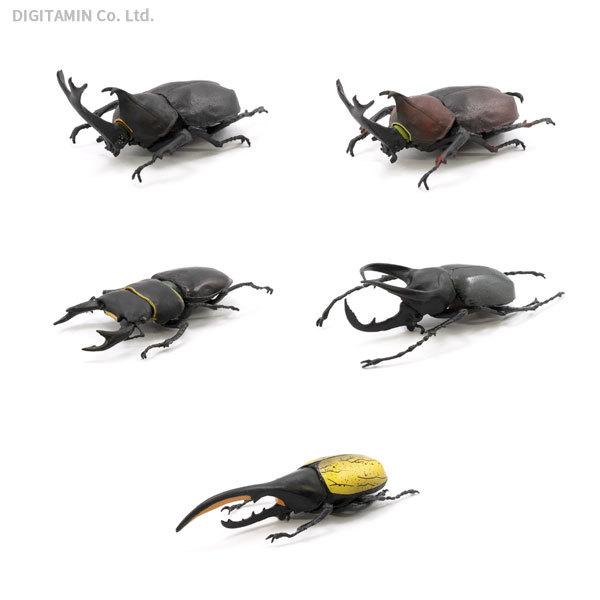 最大56 オフ エフトイズ 昆虫ハンター 1box Ft 6月予約 Wantannas Go Id