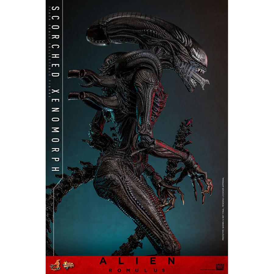 ムービー・マスターピース 送料無料◇ムービー・マスターピース