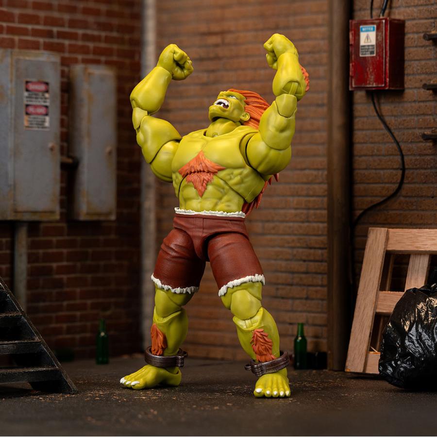 JADA TOYS ストリートファイター アクションフィギュア 1/12スケール
