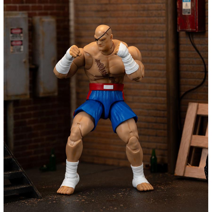 JADA TOYS ストリートファイター アクションフィギュア 1/12スケール
