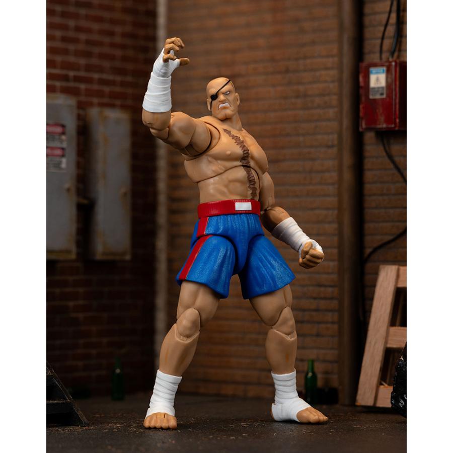 JADA TOYS ストリートファイター アクションフィギュア 1/12スケール