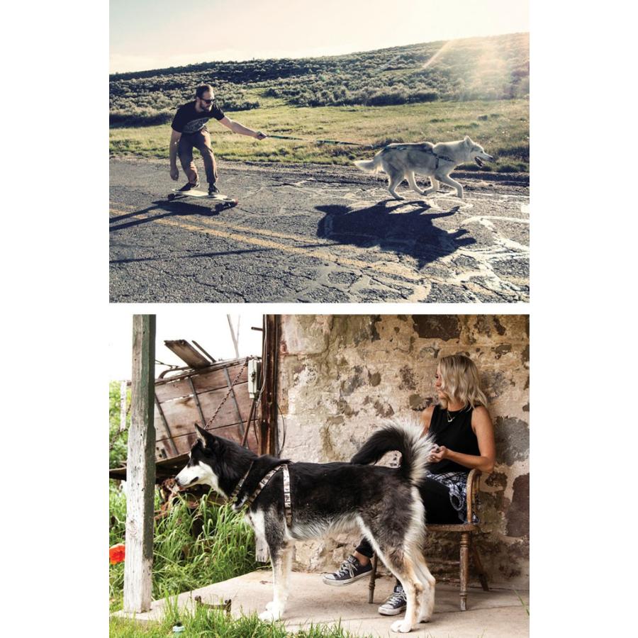 美しい ウルフギャング ハーネス 大型犬用ハーネス 犬 Xlサイズ Wolf Gang Harness 全品送料無料 Zoetalentsolutions Com