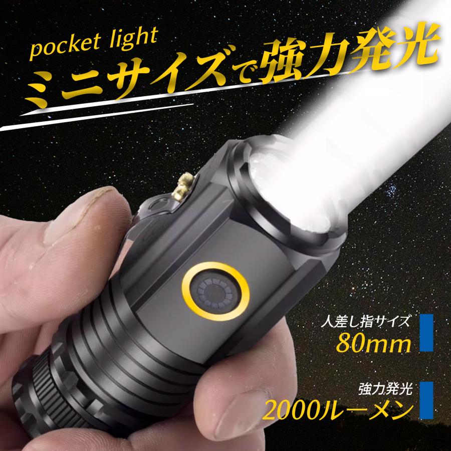 【新品】充電式LEDリーフライトグリップ2000ルーメン　防雨型　8.5時間点灯 Amazon.co.jp: ECARE 懐中電灯 ledライト cobライト 6モード USB