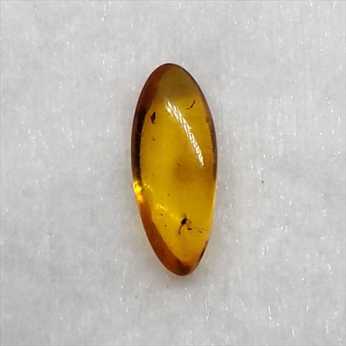 美品 虫入り琥珀 琥珀 化石 本物 バルト海産 ケース付き 16.5mm