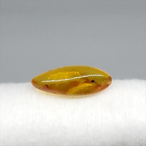 美品 虫入り琥珀 琥珀 化石 本物 バルト海産 ケース付き 16.5mm