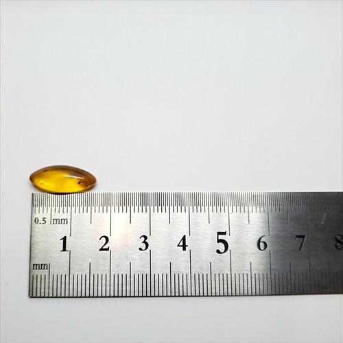 美品 虫入り琥珀 琥珀 化石 本物 バルト海産 ケース付き 16.5mm