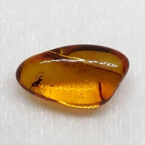 美品 虫入り琥珀 琥珀 化石 本物 バルト海産 ケース付き 13.75mm