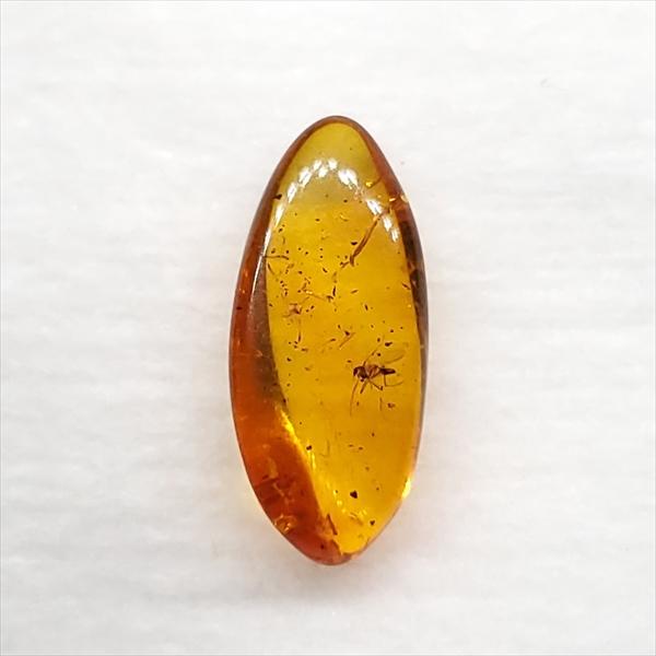 天然琥珀の化石　琥珀標本　昆虫入り琥珀 昆虫化石ブローチ　天然アンバー 楽天市場】アンバー 原石 バルト海産 天然琥珀 虫入り 天然石