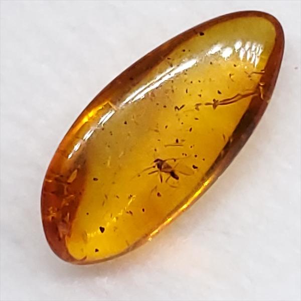 美品 虫入り琥珀 琥珀 化石 本物 バルト海産 ケース付き 15.13mm