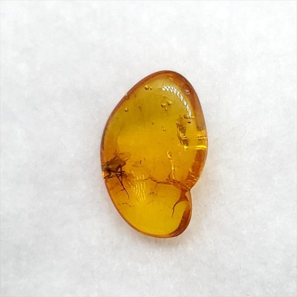 美品 虫入り琥珀 琥珀 化石 本物 バルト海産 ケース付き 10.75mm